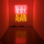 Never Again (Explicit)