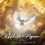 White pigeon