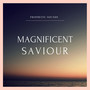 Magnificent Saviour