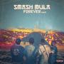 Smash Mula Forever (Explicit)