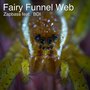 Fairy Funnel Web