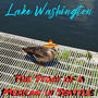 Lake Washington: The Story of A Mexican In Seattle