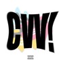 cvv! (Explicit)