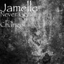 Never Gone Change (Explicit)