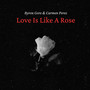 Love Is Like A Rose