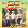 Serie 20 Exitos Huapangos