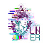 Liner