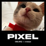 Pixel