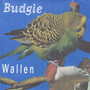 Budgie