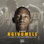 Ngivumele (feat. Manci-Dj, Portia Mvalane, Bhuuda Yabo & T VITAL)