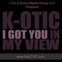 I Got You In My View (Single) [Explicit]