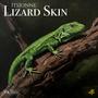 Lizard Skins (Explicit)