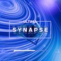 Synapse