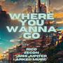 Where You Wanna Go (feat. Zecon & Juss Jupiter) [Explicit]