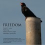 Freedom (feat. Rebecca Moore & Matt Black)