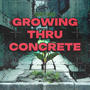 Growing Thru Concrete (Explicit)