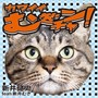 カワイイむぎチャン！