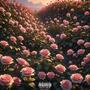 ROSES (Explicit)