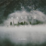 Wasted Love