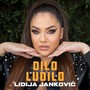 Dilo Ludilo
