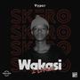Wakasi 2 Lefase (feat. Lacasa_26 RSA, SKG Musiq & Dr TT) [Radio Edit] [Explicit]