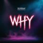 WHY (Explicit)