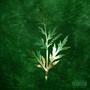 WORMWOOD_III (Explicit)