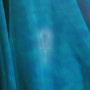 Autowash (Explicit)