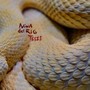 Snakeskin