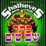 Shalheves Boys Choir - Kesser Shem Tov