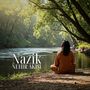 Nazik Nehir Akışı (Sakin Sular, Farkındalık Pratiği, Nehir Kenarında Meditasyon)