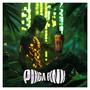 P1NGA FUNK (Explicit)