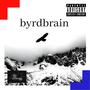 byrdbrain (Explicit)