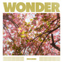 Wonder