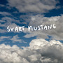 Svart Mustang