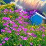 Bloom (Explicit)