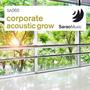 Corporate Acoustic Grow