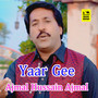 Yaar Gee - Single