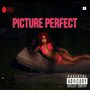 Picture Perfect (Explicit)