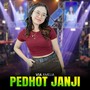 Pedhot Janji