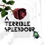 A Terrible Splendour