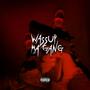 WASSUP MA GANG (feat. MFs CRUSH) [Explicit]