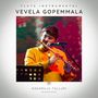 Ve Vela Gopemmala (Flute Instrumental)