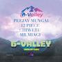 G_VALLEY (PEEJAY MUNGAI X 12 PIECE X CHIWERU X MR MIAGI) [Explicit]