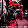 Pitbull Hip Hop (Instrumental Hip Hop)