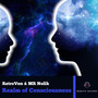 Realm Of Consciousness