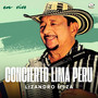 Concierto Lima Peru (En Vivo)
