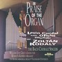 In Praise of The Organ