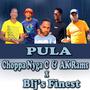 Pula (feat. AK Rams & Blj's Finest)