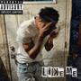 Like Me (Explicit)